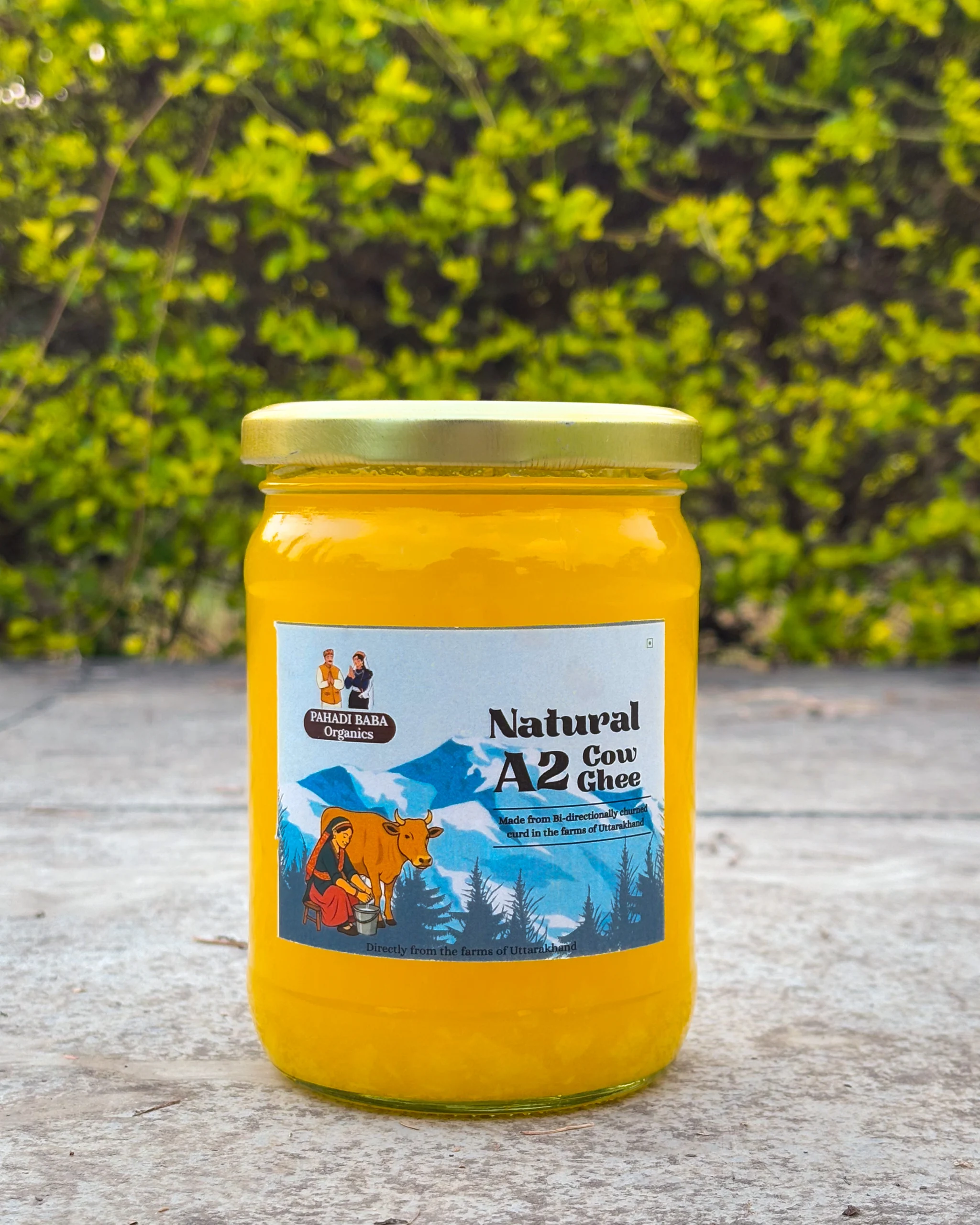 A2 Bilona Cow Ghee: Why It’s India’s Healthiest Heritage Fat